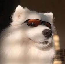 Lê Thùy Lâm